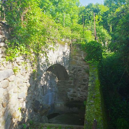 Puig Roja Del Roser Prats-de-Mollo-la-Preste Εξωτερικό φωτογραφία